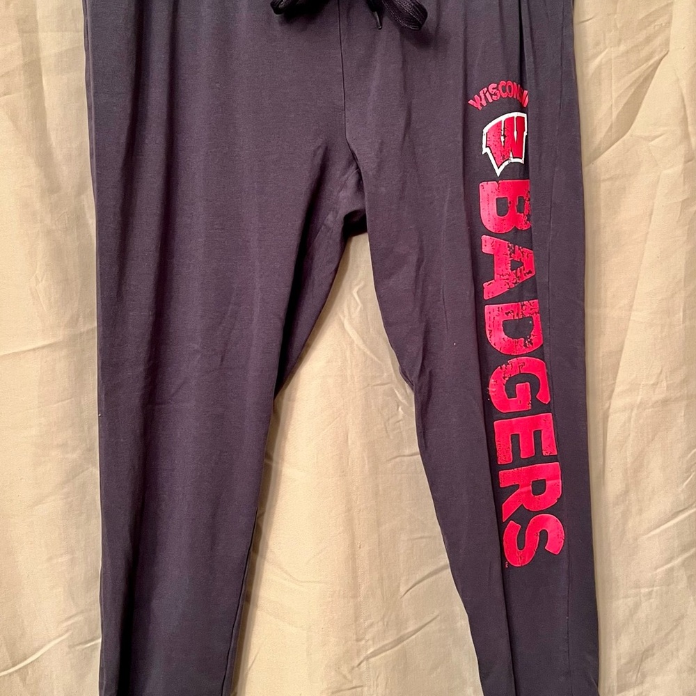 Wisconsin Badgers Women's Dark Gray Joggers